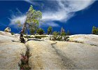 On the Tioga pass  Yosemite California - Trevor Unwin (Open).jpg